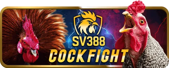 Hỗ trợ qua điện thoại 33win999
