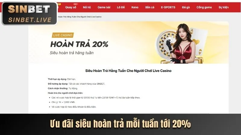 Hình ảnh khuyến mãi hoàn trả cược hàng ngày/tuần